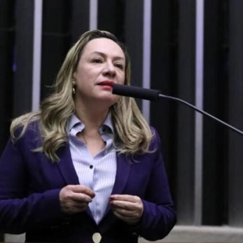 Deputada desafia dirigente antipetista da OAB-GO: “Vem me jogar no rio”