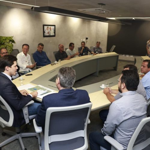 Daniel Vilela coordena tratativas para pavimentação das GO-338 e GO-438, no Vale do São Patrício