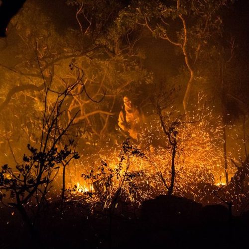 Governo de Goiás investe R$ 1 milhão na prevenção de incêndios no Cerrado