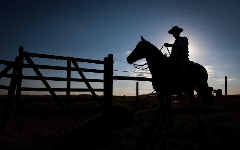 FCO Rural ultrapassa R$ 1 bilhão em financiamentos aprovados em 2025