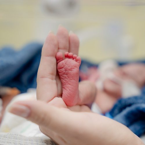 Novembro Roxo reforça cuidados e prevenção à prematuridade em Goiás