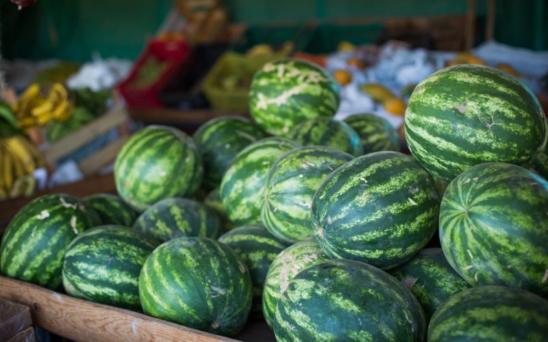 Goiás lidera produção nacional de melancia e alcança recorde em valor da produção
