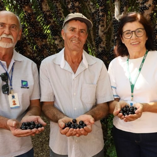 Emater Goiás realiza V Encontro Técnico sobre a cultura da jabuticabeira em Hidrolândia