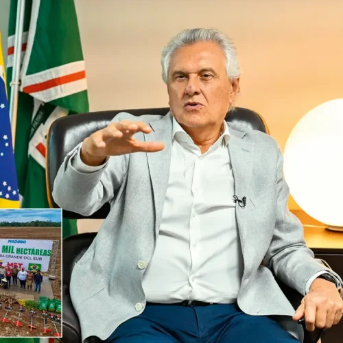 As críticas de Ronaldo Caiado ao agora ex-ministro Ricardo Lewandowski