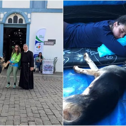 Cadela é adotada após seguir romeira por 150 km até a Festa do Divino Pai Eterno