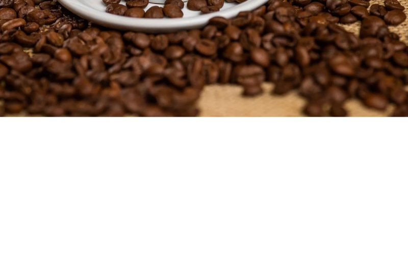 Café robusta sobe mais de 40% em agosto