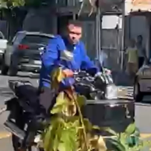 “Pega ladrão”: criminoso invade casa, rende família e estupra jovem